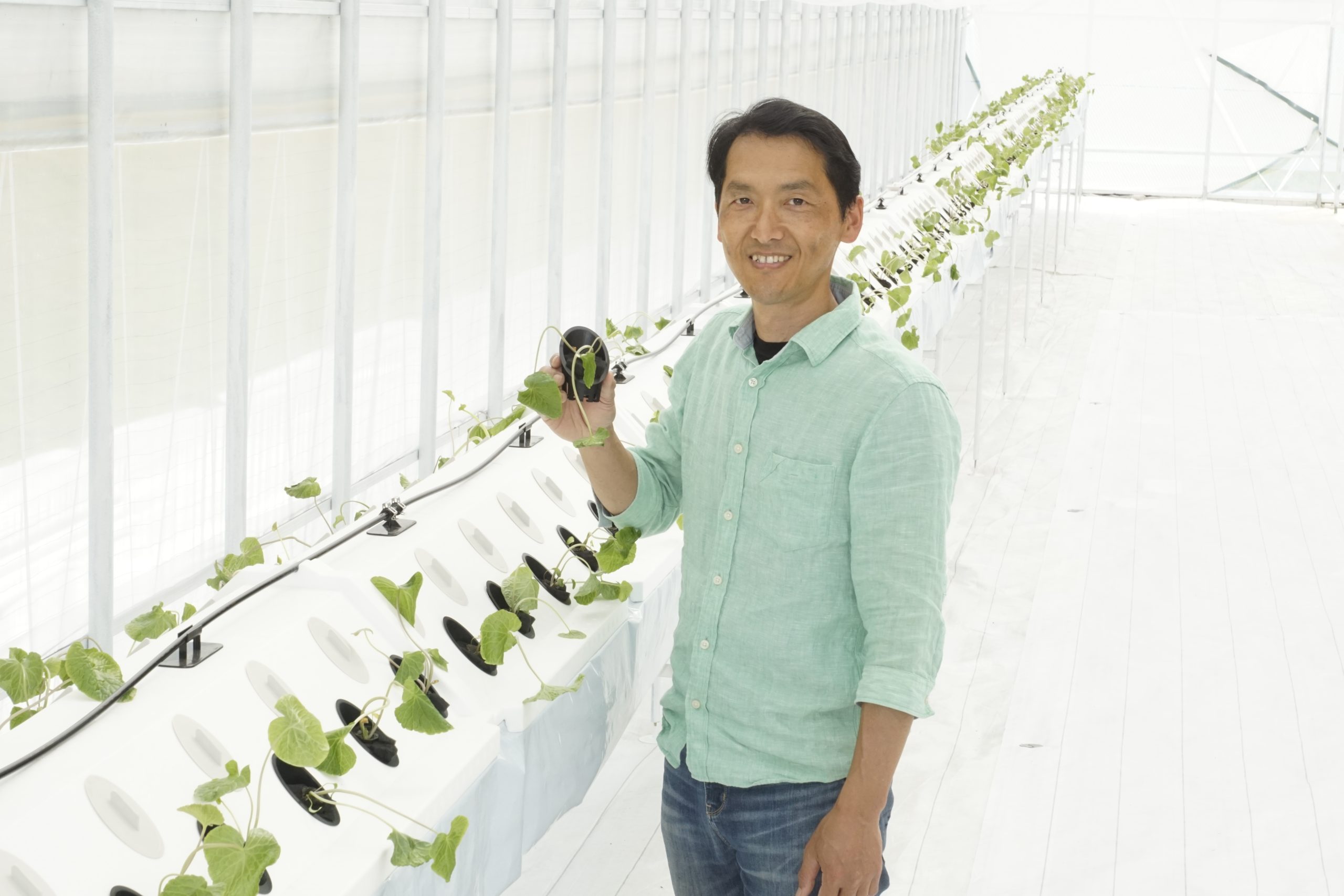 NBI Trial Farm's First Planting in Kyoto Marks a Step into the Future DSC0993 Scaled